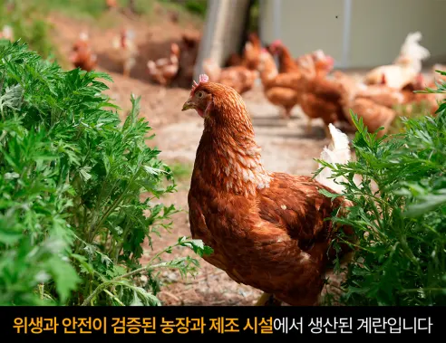 땡큐파머스 촉촉 반숙란, 30구, 1개 상세 이미지 6