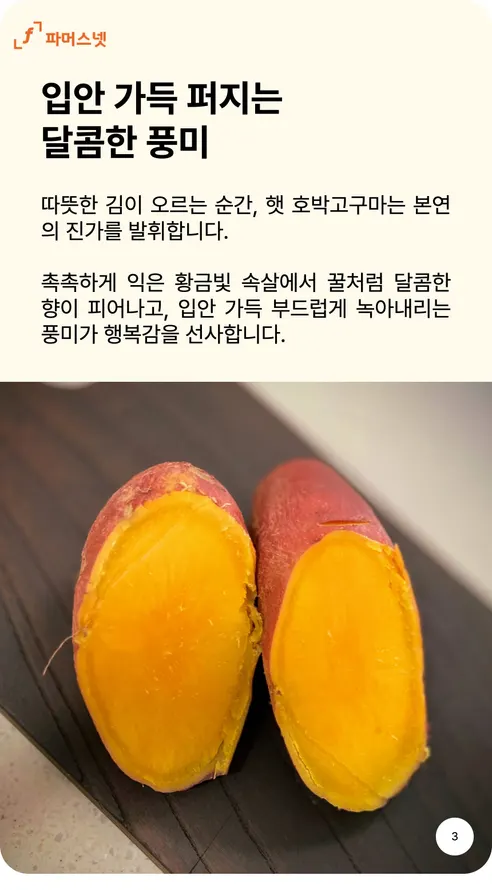 파머스넷 호박고구마, 한입, 5kg, 1박스 상세 이미지 3