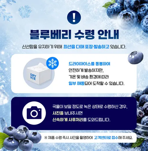 푸드앳홈 냉동 블루베리 실속형, 1kg, 4팩 상세 이미지 1