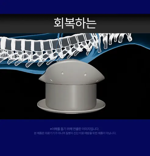 제스파 허리안 프로 마사지기 ZP5824, 1개 상세 이미지 9