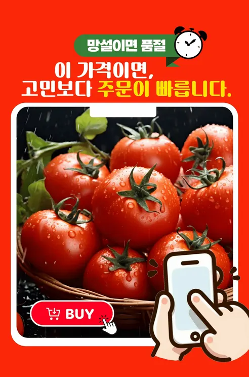 경북 완숙토마토 찰토마토, 5kg, 1박스 상세 이미지 14