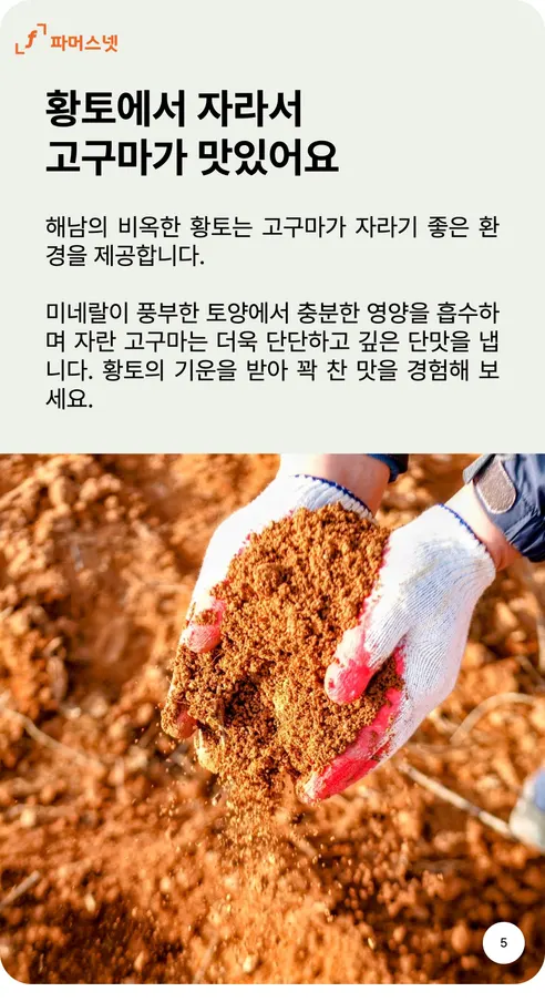 파머스넷 호박고구마, 한입, 5kg, 1박스 상세 이미지 5