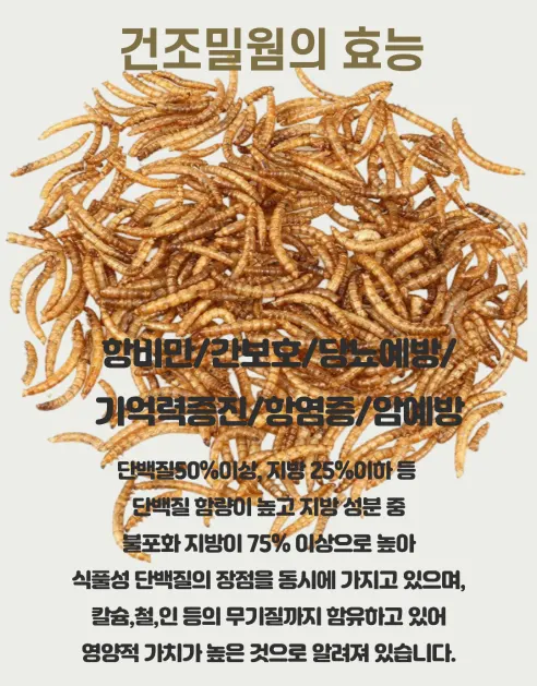 펫마인 건조 밀웜, 햄스터, 고슴도치, 도마뱀, 앵무새, 슈가글라이더, 200g, 1개 상세 이미지 2