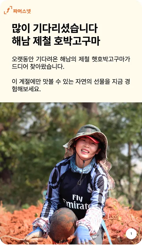 파머스넷 호박고구마, 한입, 5kg, 1박스 상세 이미지 1