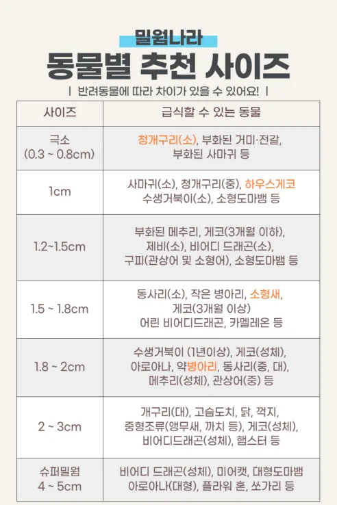 살아있는 밀웜 반려동물 먹이 극소 100+100, 밀웜,극소 0.3-0.8cm, 100+100마리 상세 이미지 11