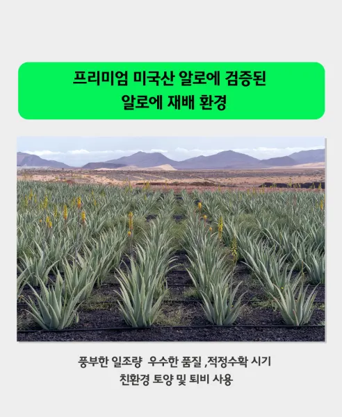 이뮨알로에 플러스 면역다당체 250, 20g, 14포, 1박스 상세 이미지 17