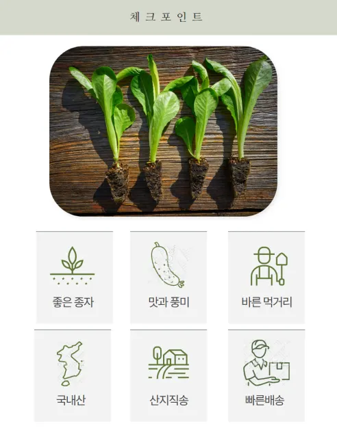 로메인 청상추, 1kg, 1박스 상세 이미지 3