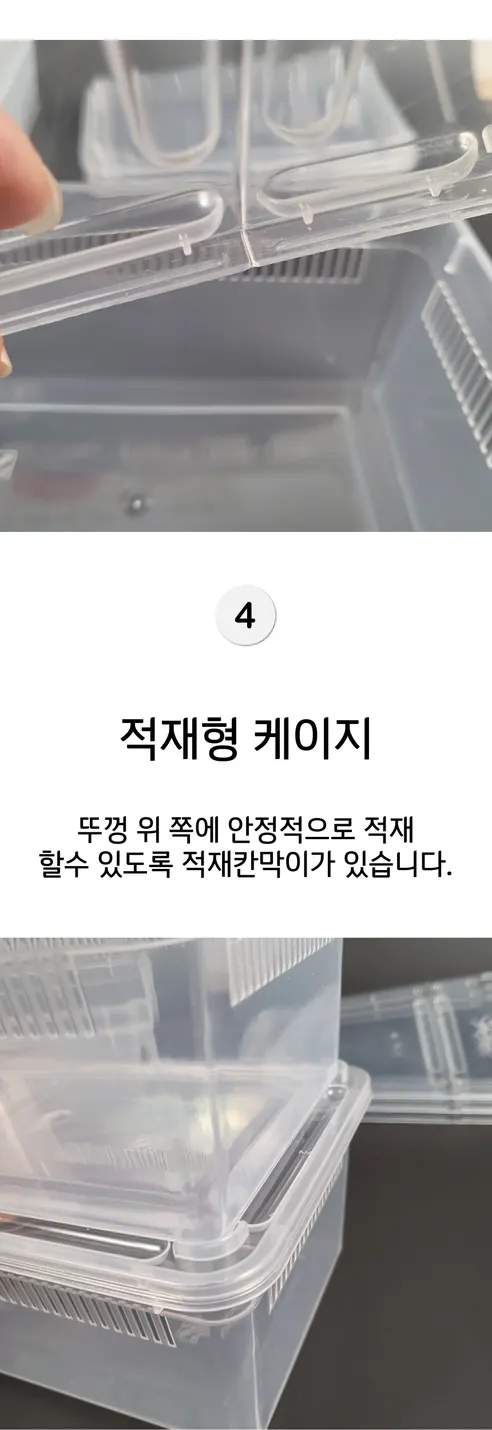 하루이오 파충류 크레스티드 게코 도마뱀 사육장 H9, 중형 상세 이미지 5