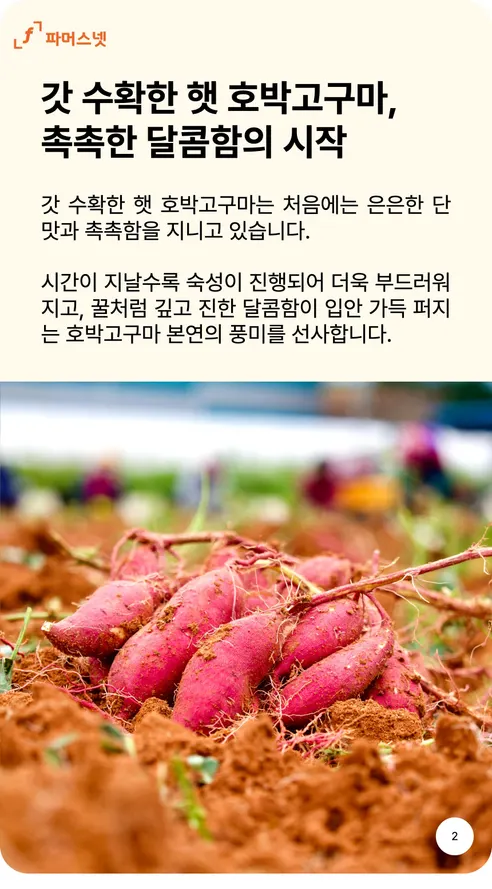 파머스넷 호박고구마, 한입, 5kg, 1박스 상세 이미지 2