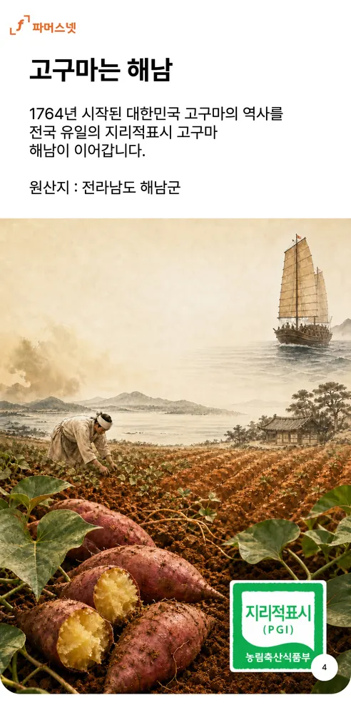 파머스넷 해남 햇 밤고구마, 한입, 5kg, 1박스 상세 이미지 4