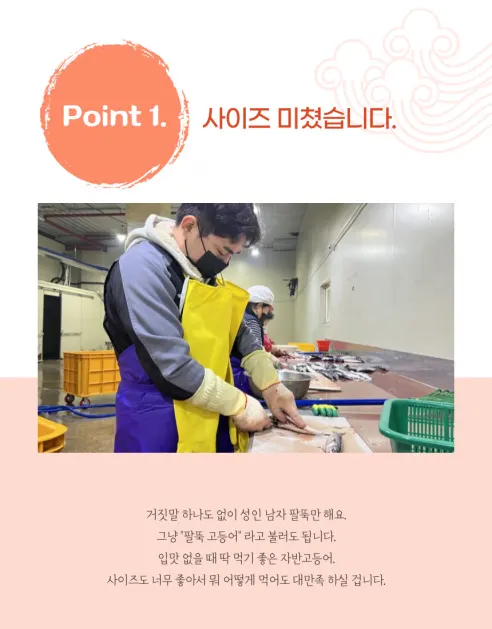 국내산 부산 자반고등어, 대, 3.1-3.7kg, 10마리 상세 이미지 7