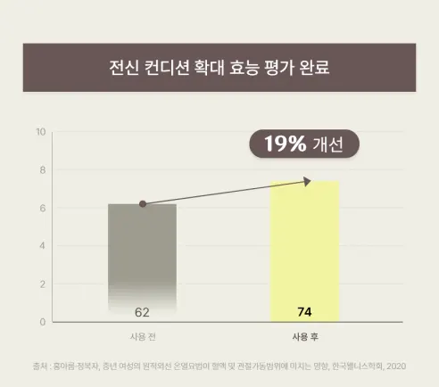 인버브 근육관절패치 혼합형, 24매, 2개 상세 이미지 19