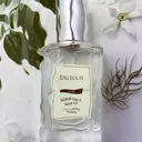 WISELY 우드세이지앤씨솔트 코롱, 50ml, 1개