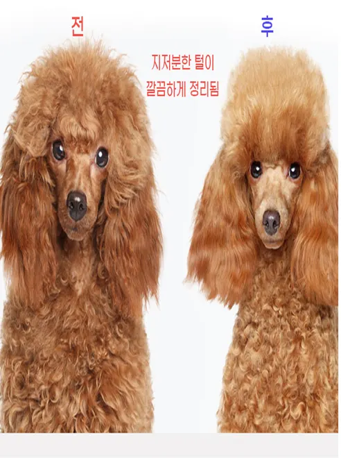 피부 무손상 모찌빗, 핑크, 1개 상세 이미지 4
