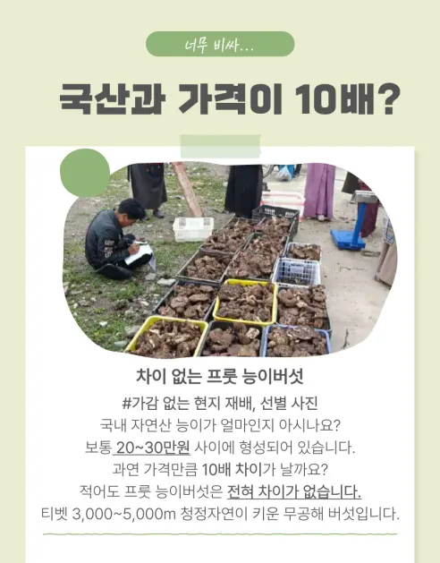 프룻프룻 건조 능이버섯, 100g, 1개 상세 이미지 4