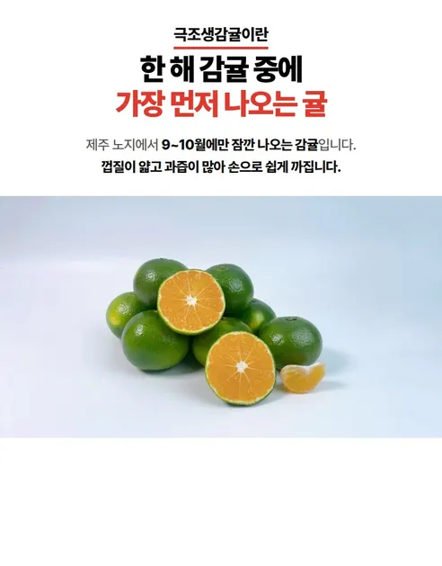 산지직송 제주 조생감귤, L-2L, 10kg, 1박스 상세 이미지 6