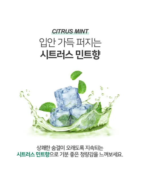 쉼표365 매일 상쾌한 구취케어 플러스 치약, 250g, 4개 상세 이미지 6