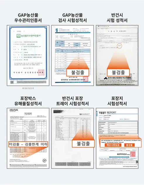 대한민국농수산 청도 반건시 선물세트, 일반형, 중과, 20구, 1세트 상세 이미지 11