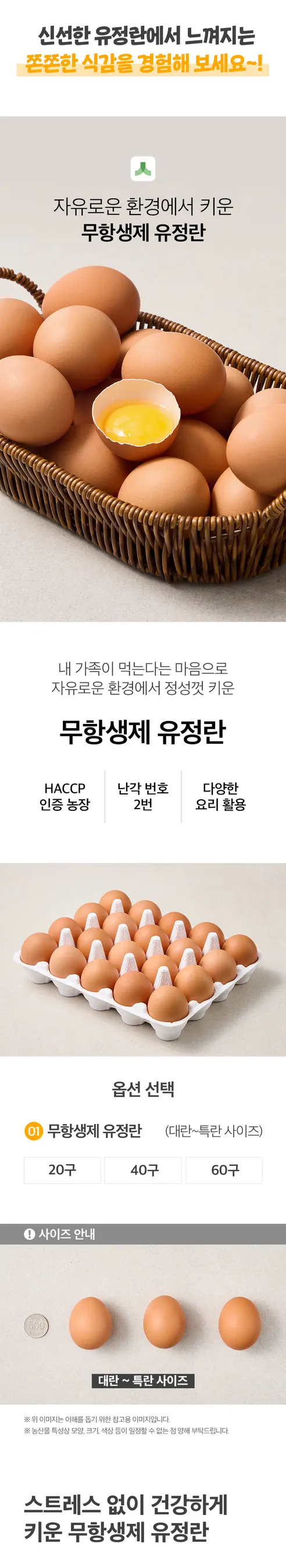 신선하랑 무항생제 난각번호 2번 유정란, 40구, 1개 상세 이미지 6