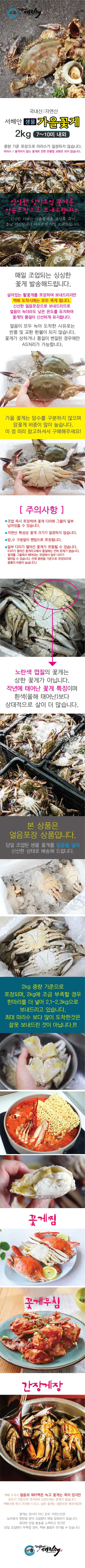 서해안 생물 가을꽃게, 7-9미, 2kg, 1개 상세 이미지 3