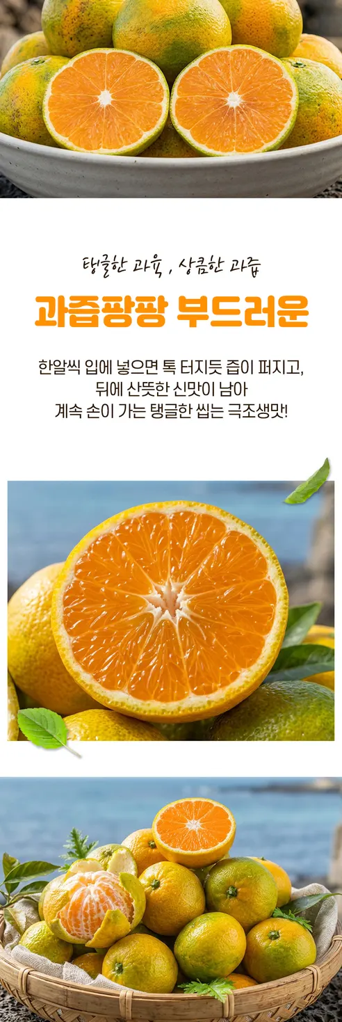 제주 서귀포 노지 감귤 극조생귤, 5kg, 1박스 상세 이미지 5