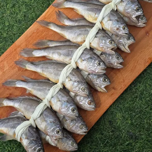 법성포 영광 굴비, 대, 17-21cm 내외, 20미, 1박스 상세 이미지 5