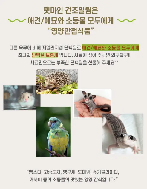 펫마인 건조 밀웜, 햄스터, 고슴도치, 도마뱀, 앵무새, 슈가글라이더, 200g, 1개 상세 이미지 4