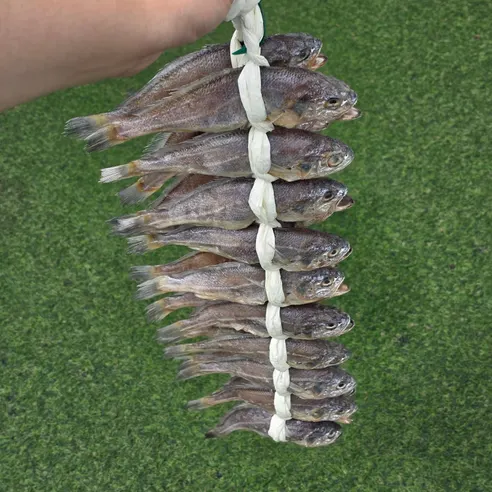 법성포 영광 굴비, 대, 17-21cm 내외, 20미, 1박스 상세 이미지 1