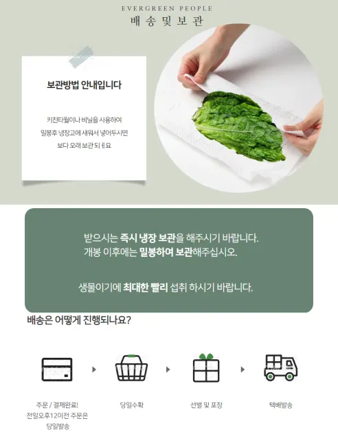 로메인 청상추, 1kg, 1박스 상세 이미지 5