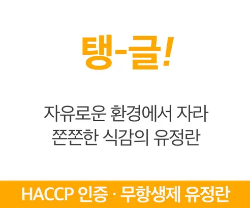 신선하랑 무항생제 난각번호 2번 유정란, 40구, 1개 상세 이미지 2
