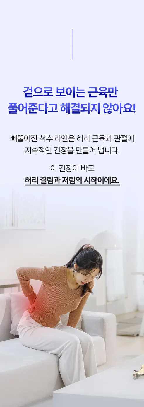 제스파 허리안 프로 마사지기 ZP5824, 1개 상세 이미지 5