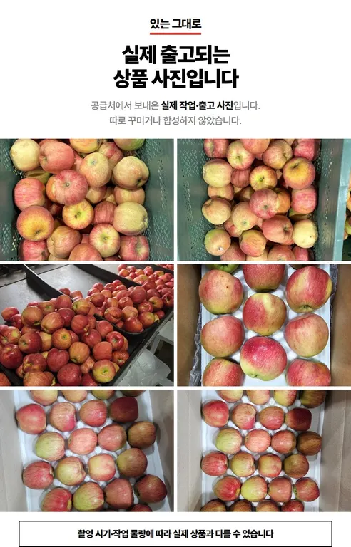 홍로사과, 대과, 5kg, 1박스 상세 이미지 8