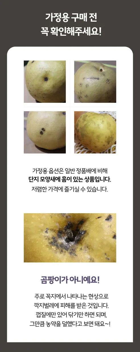 자연진리 나주 신고배, 가정용, 8-9과, 5kg, 1박스 상세 이미지 11