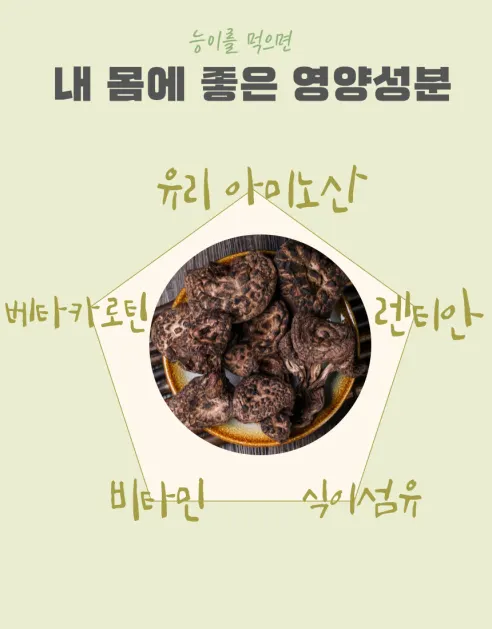프룻프룻 건조 능이버섯, 100g, 1개 상세 이미지 6