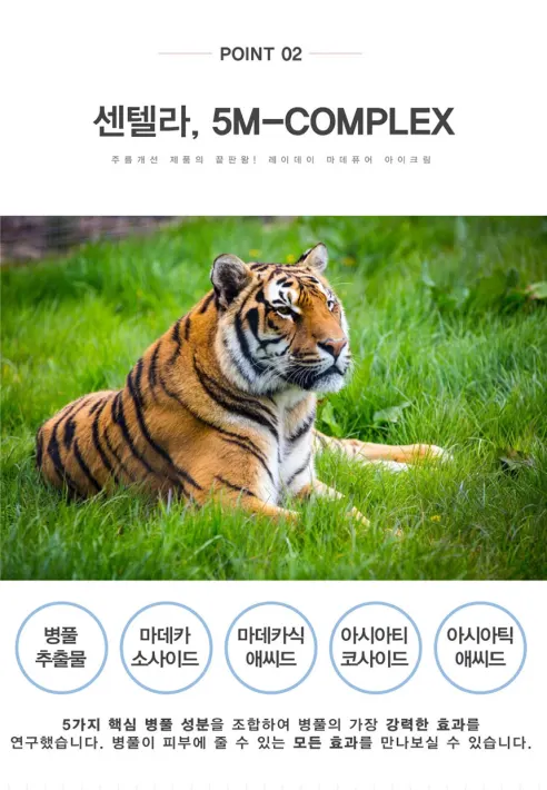 레이데이 마데카 재생크림 1+1+1, 40ml, 총 3개 상세 이미지 9