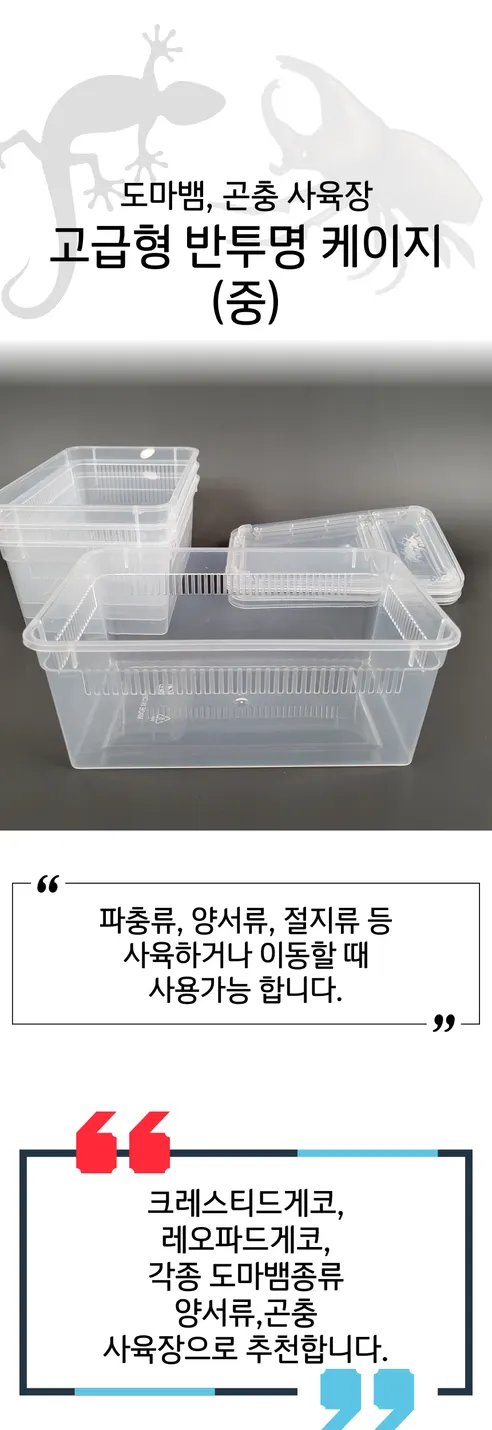 하루이오 파충류 크레스티드 게코 도마뱀 사육장 H9, 중형 상세 이미지 1