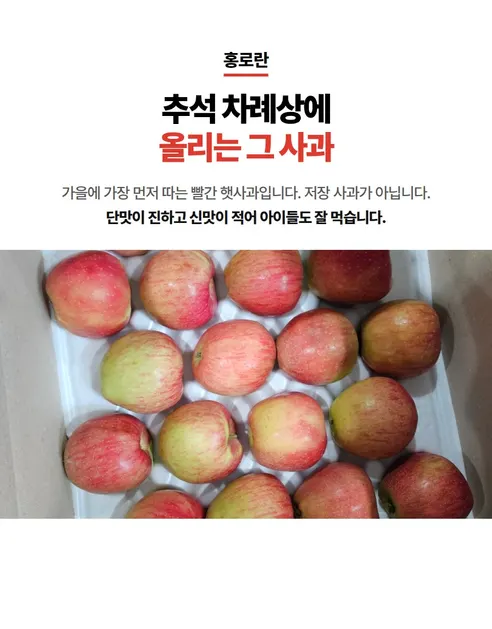 홍로사과, 대과, 5kg, 1박스 상세 이미지 5