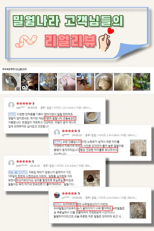 살아있는 밀웜 반려동물 먹이 극소 100+100, 밀웜,극소 0.3-0.8cm, 100+100마리 상세 이미지 3