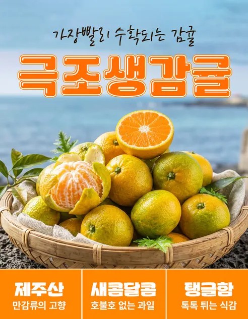 제주 서귀포 노지 감귤 극조생귤, 5kg, 1박스 상세 이미지 2