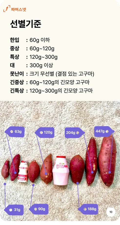 파머스넷 해남 햇 밤고구마, 한입, 5kg, 1박스 상세 이미지 10