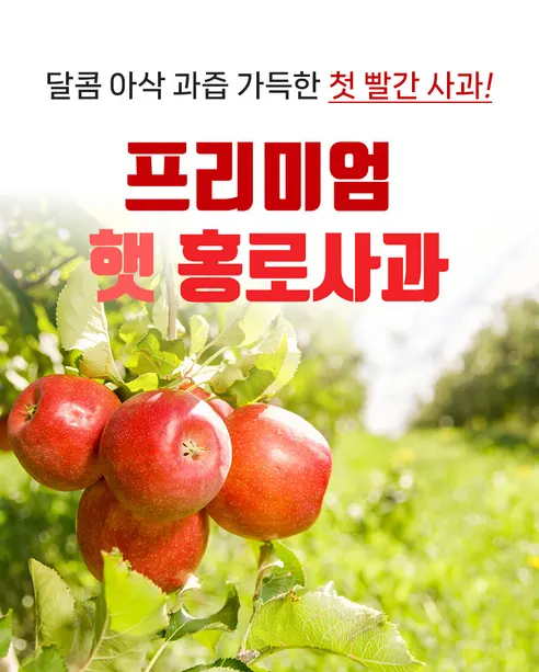 홍로사과 햇사과, 5kg, 1개 상세 이미지 2