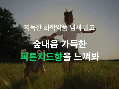펫케아 강아지 탈취제 피톤치드 천연 스프레이, 공병, 2L, 1개 상세 이미지 1