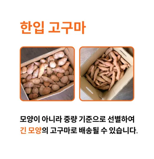 파머스넷 해남 꿀고구마, 한입, 5kg, 1박스 상세 이미지 10