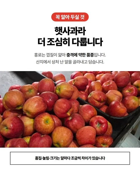 홍로사과, 대과, 5kg, 1박스 상세 이미지 9