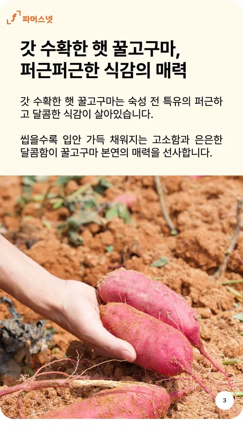 파머스넷 해남 꿀고구마, 한입, 5kg, 1박스 상세 이미지 3
