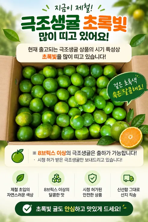 제주 서귀포 노지 감귤 극조생귤, 5kg, 1박스 상세 이미지 1