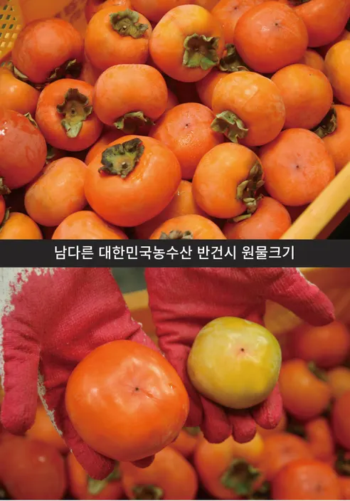 대한민국농수산 청도 반건시 선물세트, 일반형, 중과, 20구, 1세트 상세 이미지 7