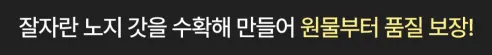 21세기푸드 여수 갓김치, 1kg, 1박스 상세 이미지 23