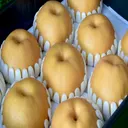 햇배, 5kg, 1박스