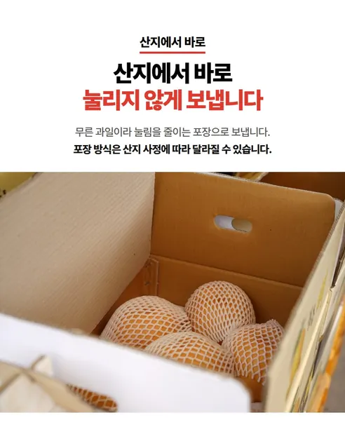 햇배, 5kg, 1박스 상세 이미지 7